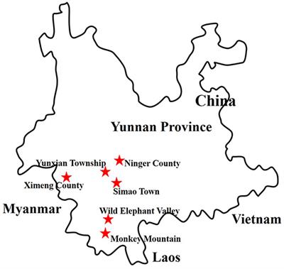 Metagenomic Analysis of Flaviviridae in Mosquito Viromes Isolated From Yunnan Province in China Reveals Genes From Dengue and Zika Viruses